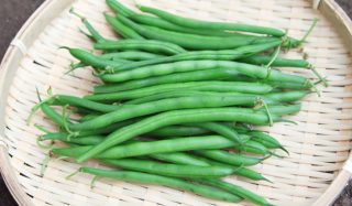 豆と野菜の両方の特性を併せ持ち多種類の栄養素があるサヤインゲン